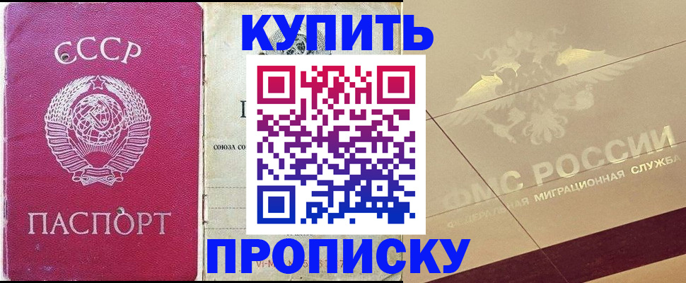 прописка для школы в Коле